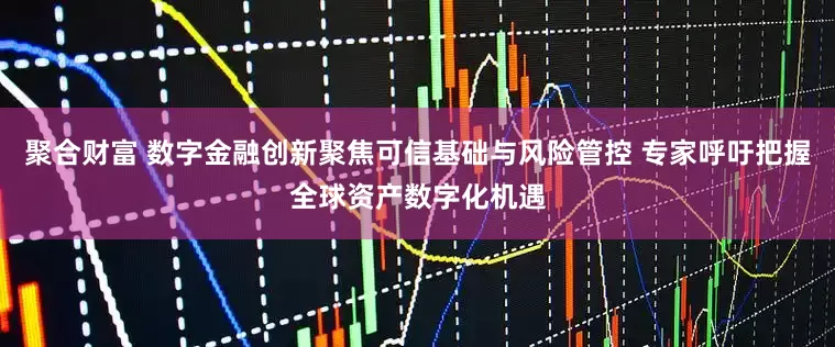 聚合财富 数字金融创新聚焦可信基础与风险管控 专家呼吁把握全球资产数字化机遇