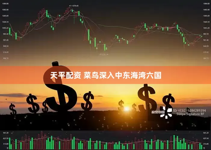 天平配资 菜鸟深入中东海湾六国