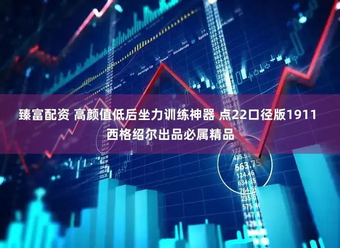 臻富配资 高颜值低后坐力训练神器 点22口径版1911 西格绍尔出品必属精品