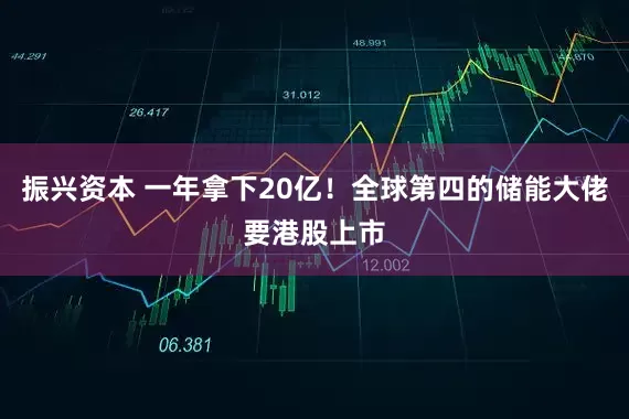 振兴资本 一年拿下20亿！全球第四的储能大佬要港股上市